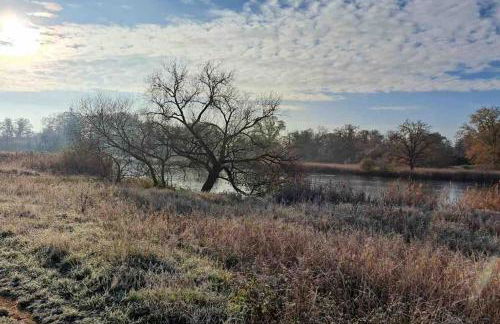 Haus an Fluss und See - Foto 61