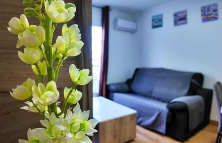 Apartalux Gold Oasis - Foto 6