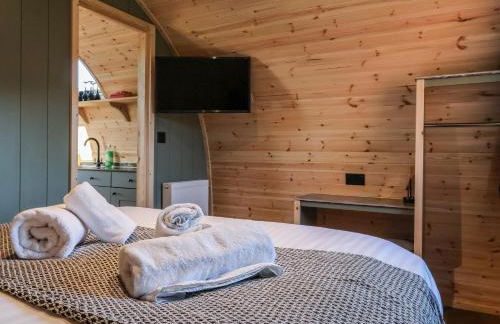 Woodpecker - Foto 12