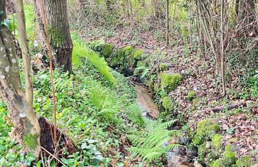 Casa da nascente douro - Foto 60