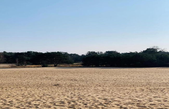 Lodge in Schaijk With Garden Terrace - Photo 40