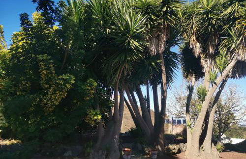 La ROSA VIEJA - Foto 38