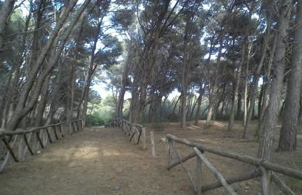 Villetta Silvana tra mare e pineta self check in dopo le 20 - Foto 48