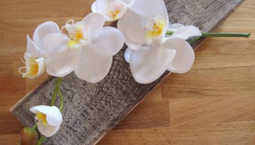 Ferienwohnung Orchidee am Neckar - Foto 5