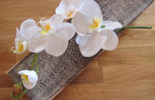 Ferienwohnung Orchidee am Neckar - Foto 5