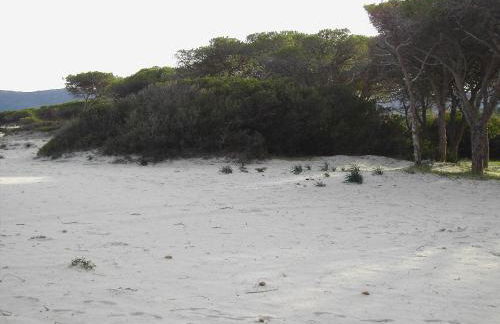 Casetta sul Mare - Foto 6