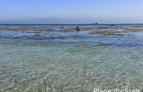 Charmante longère bigoudène - Photo 53