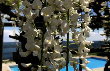 Casamariuccia - Foto 40