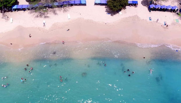 An aerial view of the beach