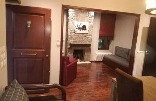 Τείχιο Πατρικό - Tihio Patriko - Πέτρινη κατοικία - Foto 4