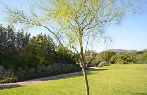 Finca Son Blat - Photo 49