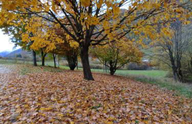 Appartamento Al Brenz - Foto 36