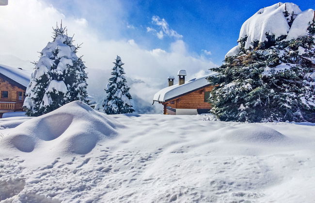 Baroudeur B04 - Foto 25