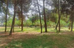 Casa Vacanze SANTAFE'- ATTICO a due passi dal Mare - PARCHEGGIO Privato - Foto 50