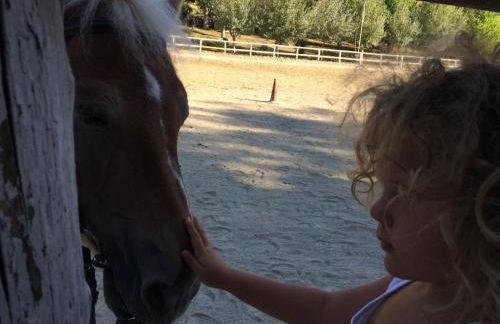 Country House Villa Sabrina - Foto 61