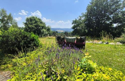Natur und Wellness ''auf der Hardt'' -Jacuzzi- Sauna- Kinderausstattung- Alleinlage im Wald - Foto 44