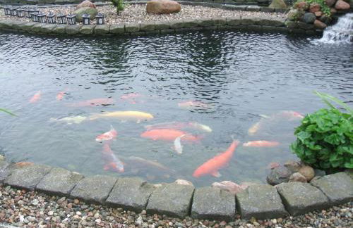 Fewo Kiefernweg - Foto 16