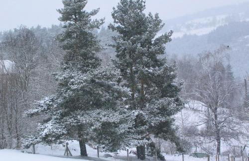 Maison charmante Le Malzieu, jardin - Foto 30