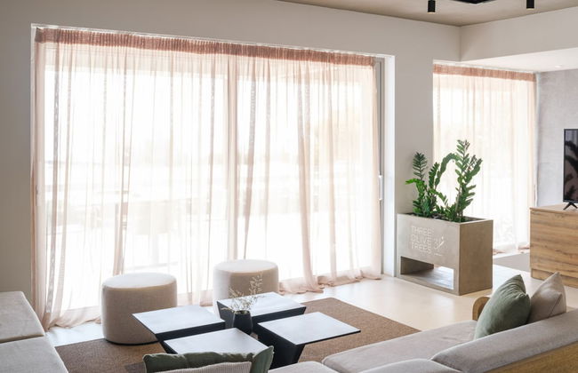 3 Olive Trees - Foto 20