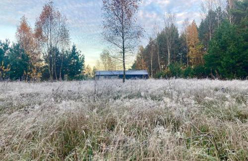 Przystanek Naglady Warmia- całoroczny, duża leśna działka - Foto 4