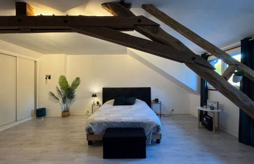 Le Moderne - 6pers - Bugatti Circuit - Zoo - Photo 13