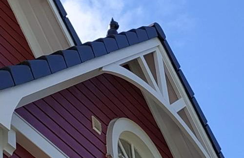 Ferienwohnung Kleiner Onkel - Photo 35