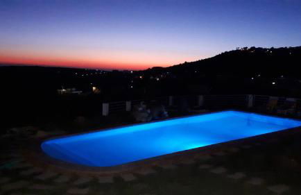 Monte Velho - Foto 49