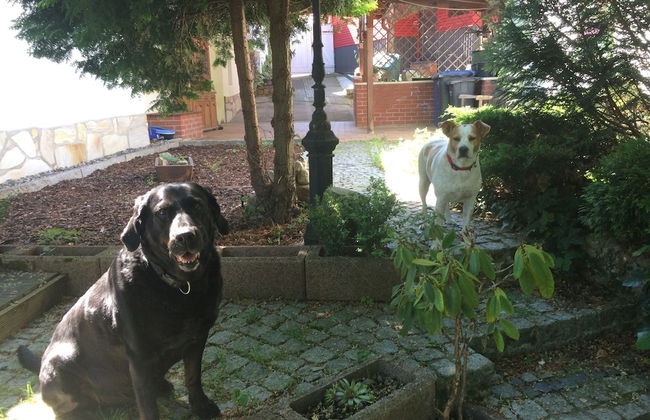 Ferienhaus Hagenwinkel - Foto 12