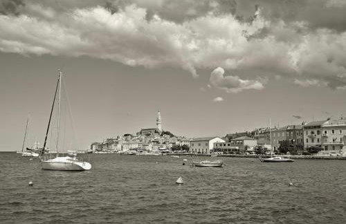 Vila Una with private pool near Rovinj - Photo 41