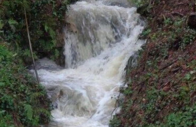 Castello di Mammoli - Foto 31