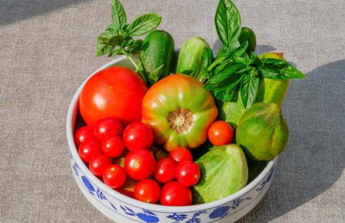 Apartment Vilma - Foto 19