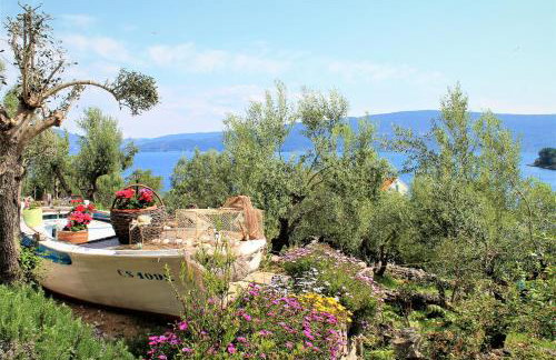 Apartmani Klaudija - Foto 30