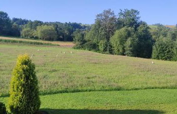 Korzenny Domek - Foto 39