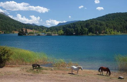 Onar Rustic Villa - Foto 17