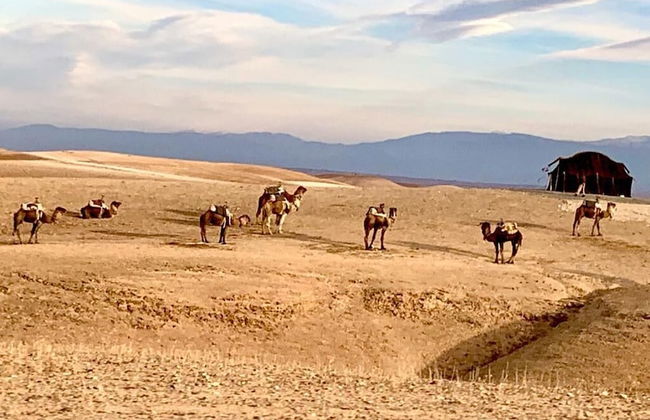 Quelque part au barrage - Foto 17