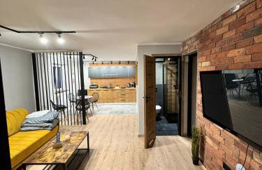 Apartamenty Stodoła - Foto 21