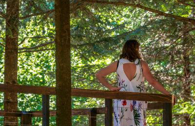 Novosiele Residence - nad górską rzeką - Leśne Spa sauna jacuzzi - Bieszczady - Foto 32