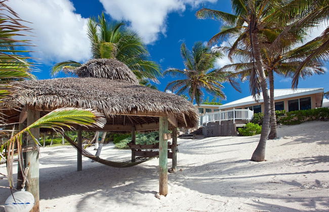 Sea Grape - Photo 27