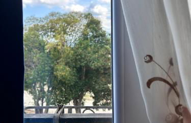 Agriturismo Collamato - Foto 46