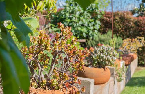 Bay Park Garden Paradise - central Location, AC, Washer Dryer & Private yard! - Foto 34