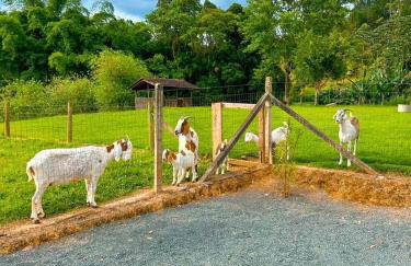 Hospedagem Zilz - Foto 39