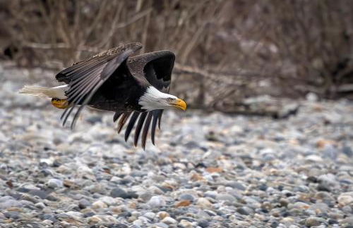 Secluded Forest Cabin with Hot Tub and Private Waterfall - Foto 60