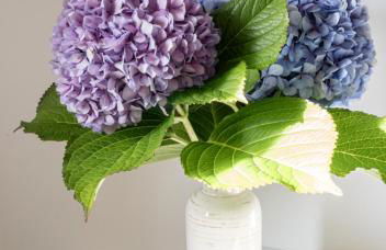 Salitre - El Silencio Apartamentos - Foto 12