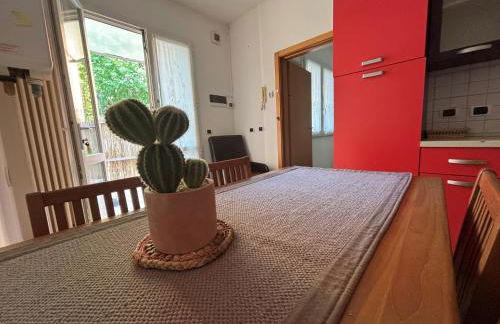 CN021 - Cesenatico, bilocale con corte in posizione centrale - Foto 1