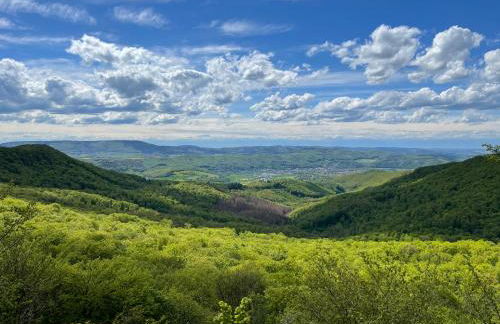 Ferienwohnung am Kalkweg - Foto 14