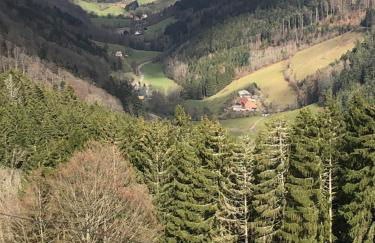 Le Kesbel entre Strasbourg et Colmar en centre Alsace - Foto 32