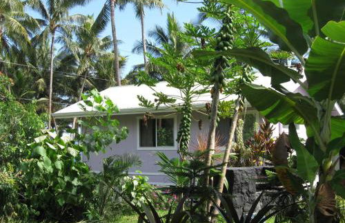 The Dolphin Cottage at Kehena Beach - Foto 25