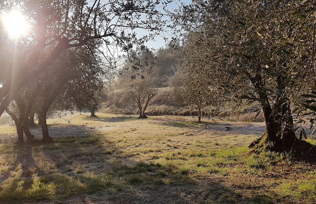 Il Borgo di Villa Cellaia - Foto 67