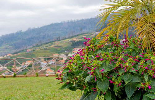 Recanto das Florenças (2) - Photo 70