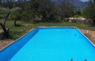 El Establo - Foto 18